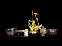 Five Chinese Scholar's Objects