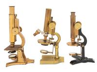 Three American Brass Microscopes