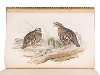 [NATURAL HISTORY]. GOULD, John (1804-1881). A Monograph of the Odontophorinae, or Partridges of America . London: Richard and John E. Taylor for the Author, [1844]-1850.