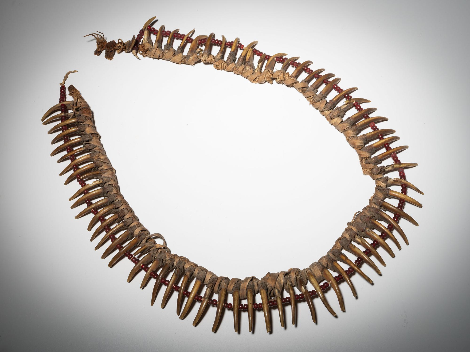 Prairie Badger Claw Necklace