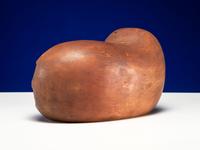 Wooden Walrus Sculpture