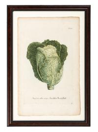 Nine Vegetable Aquatints