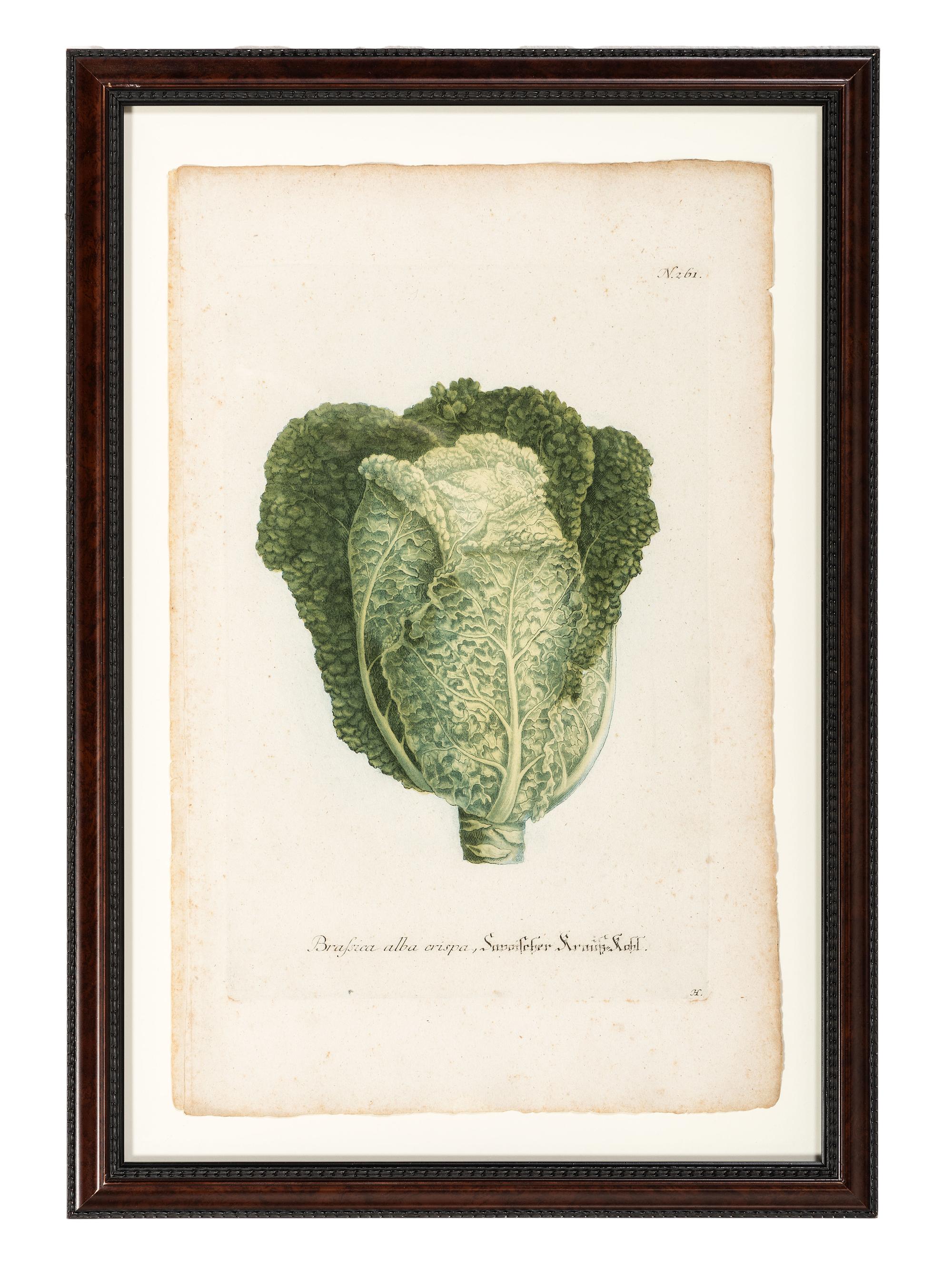 Nine Vegetable Aquatints