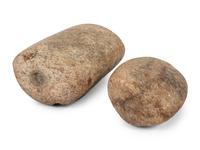 A Pair of Partially Drilled Bannerstone Blanks