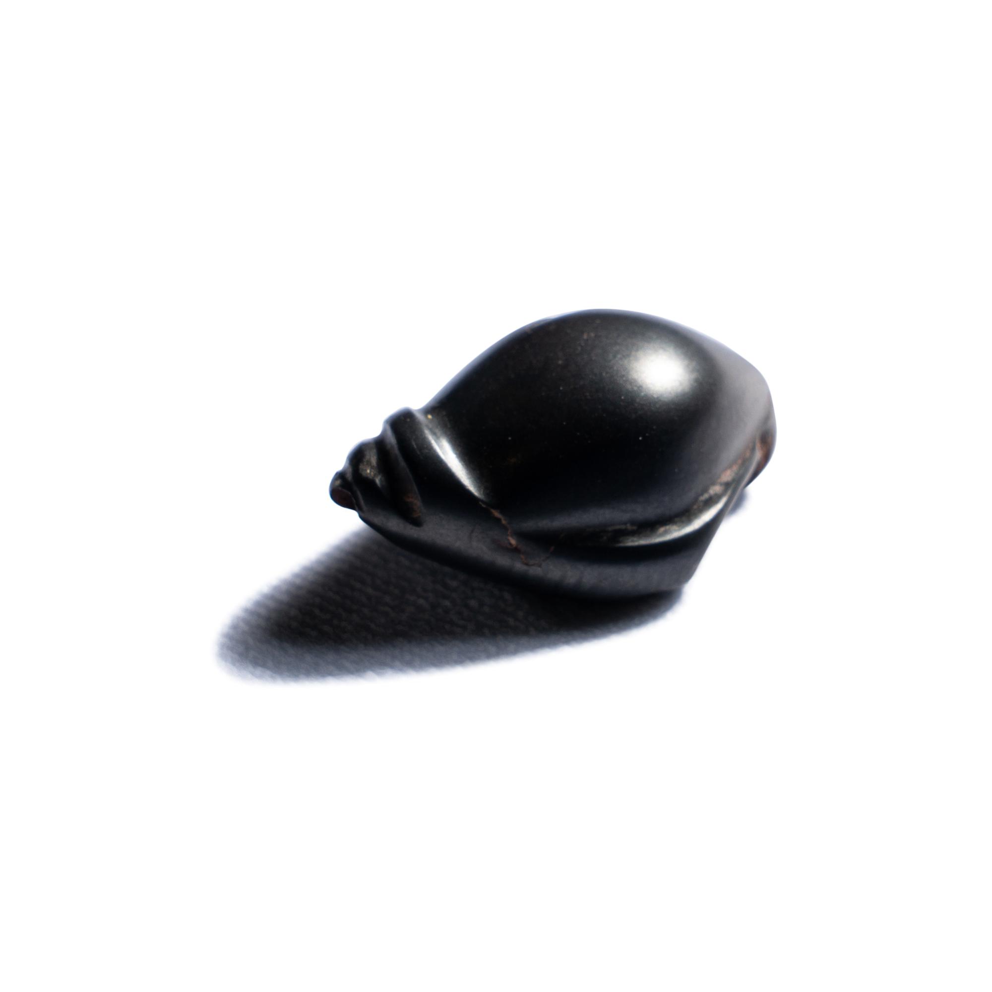 A Mesopotamian Hematite Weight in the Form of a Shell