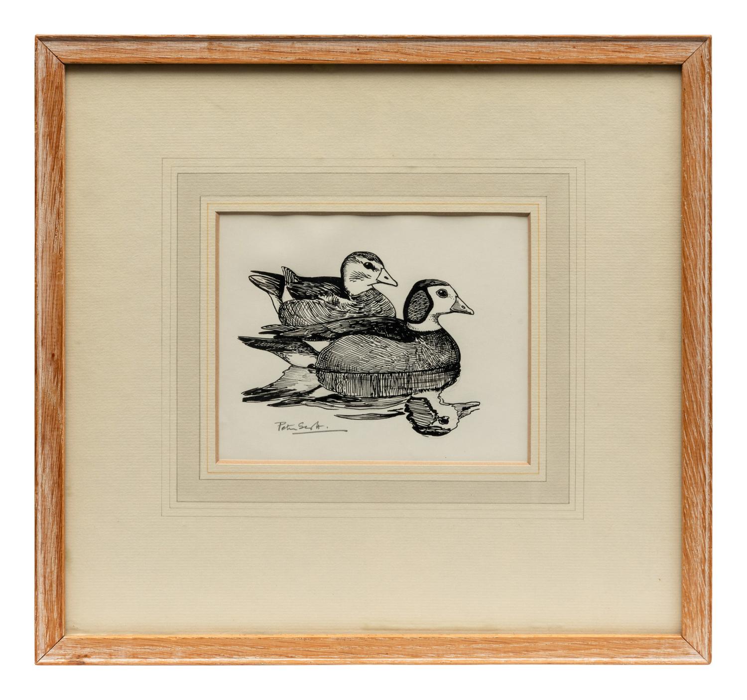 Pigmy Geese