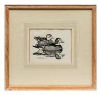 Pigmy Geese