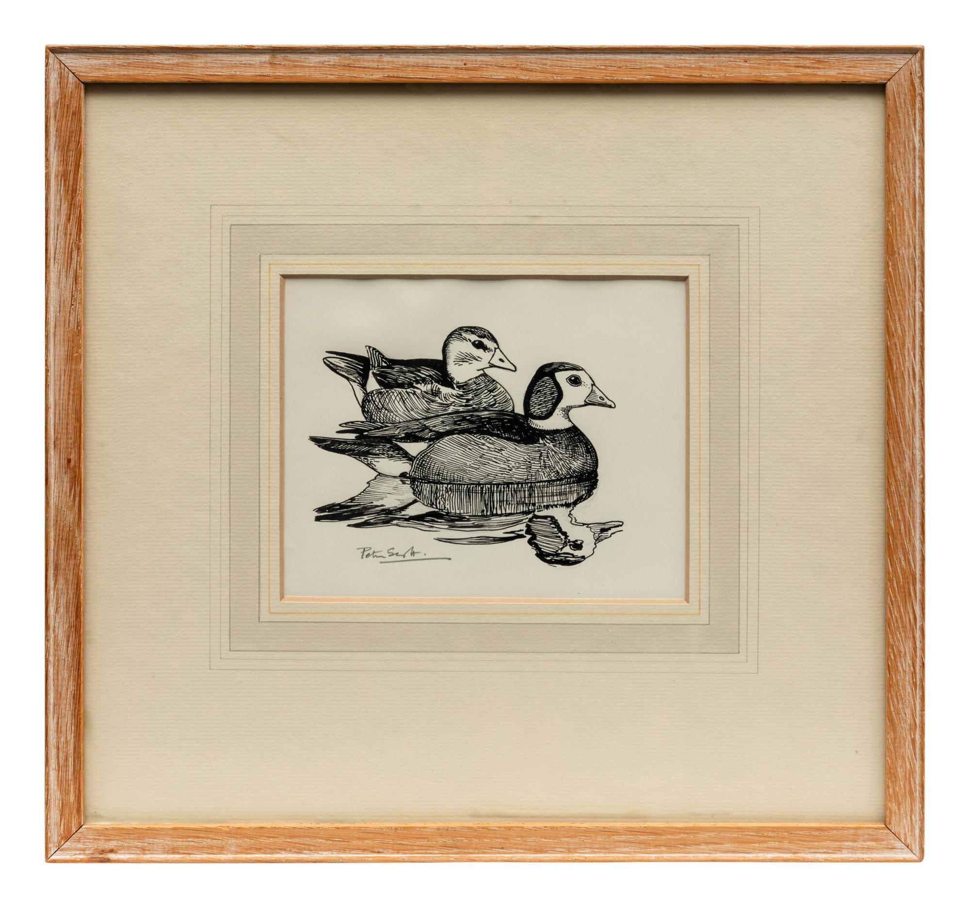 Pigmy Geese