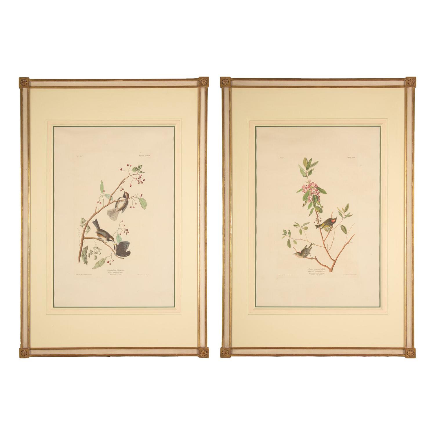 [Natural History] Audubon, John James. Group of 2 Prints