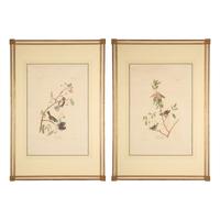 [Natural History] Audubon, John James. Group of 2 Prints
