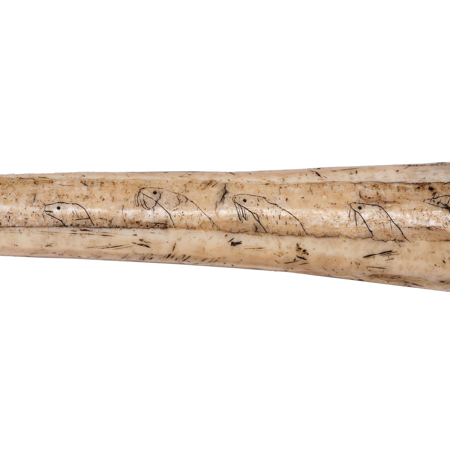 Iñupiat Decorated Harpoon, Cutdown