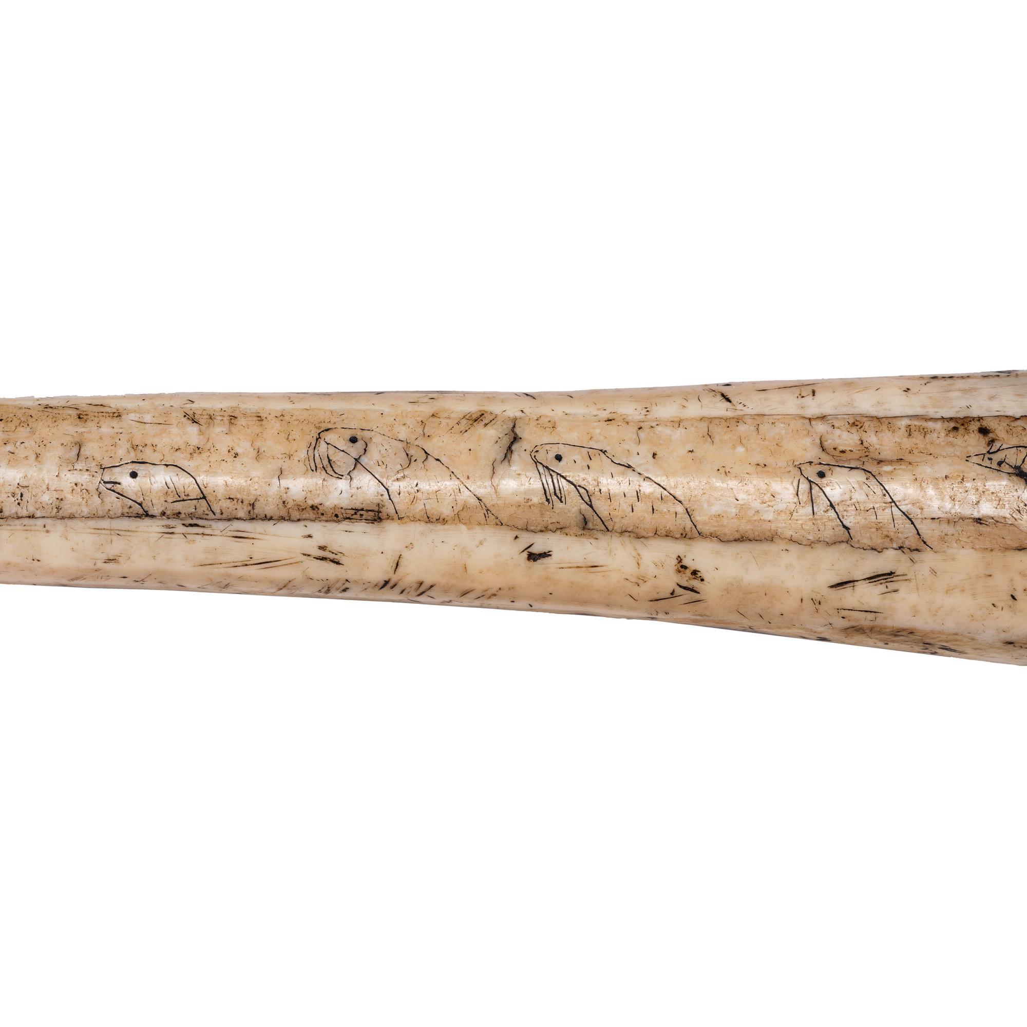 Iñupiat Decorated Harpoon, Cutdown