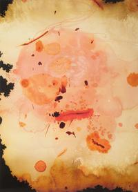 The Flowering (The Fourfold Sense), 2007 (complete portfolio of thirteen)