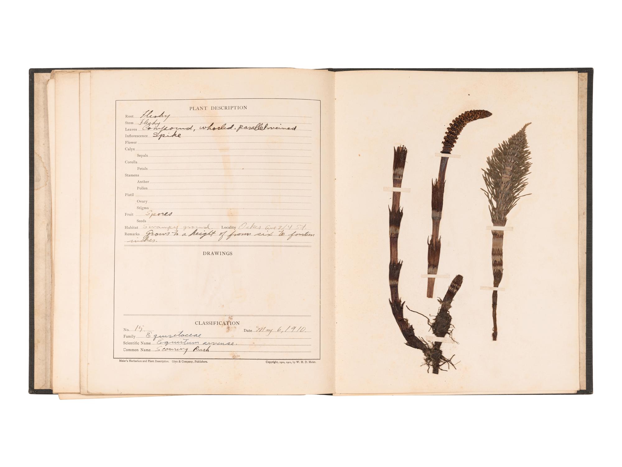 [SPECIMEN ALBUMS]. A group of albums with samples collected in the United States, comprising: