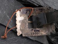 Navajo Sterling Silver Concha Belt