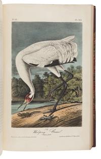AUDUBON, John James (1785-1851). The Birds of America, from Drawings Made in the United States and their Territories . New York: J.J. Audubon; Philadelphia: J.B. Chevalier, [1839-] 1840-1844.