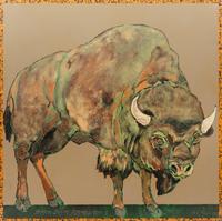 Bison Bison Americanvs, 1995