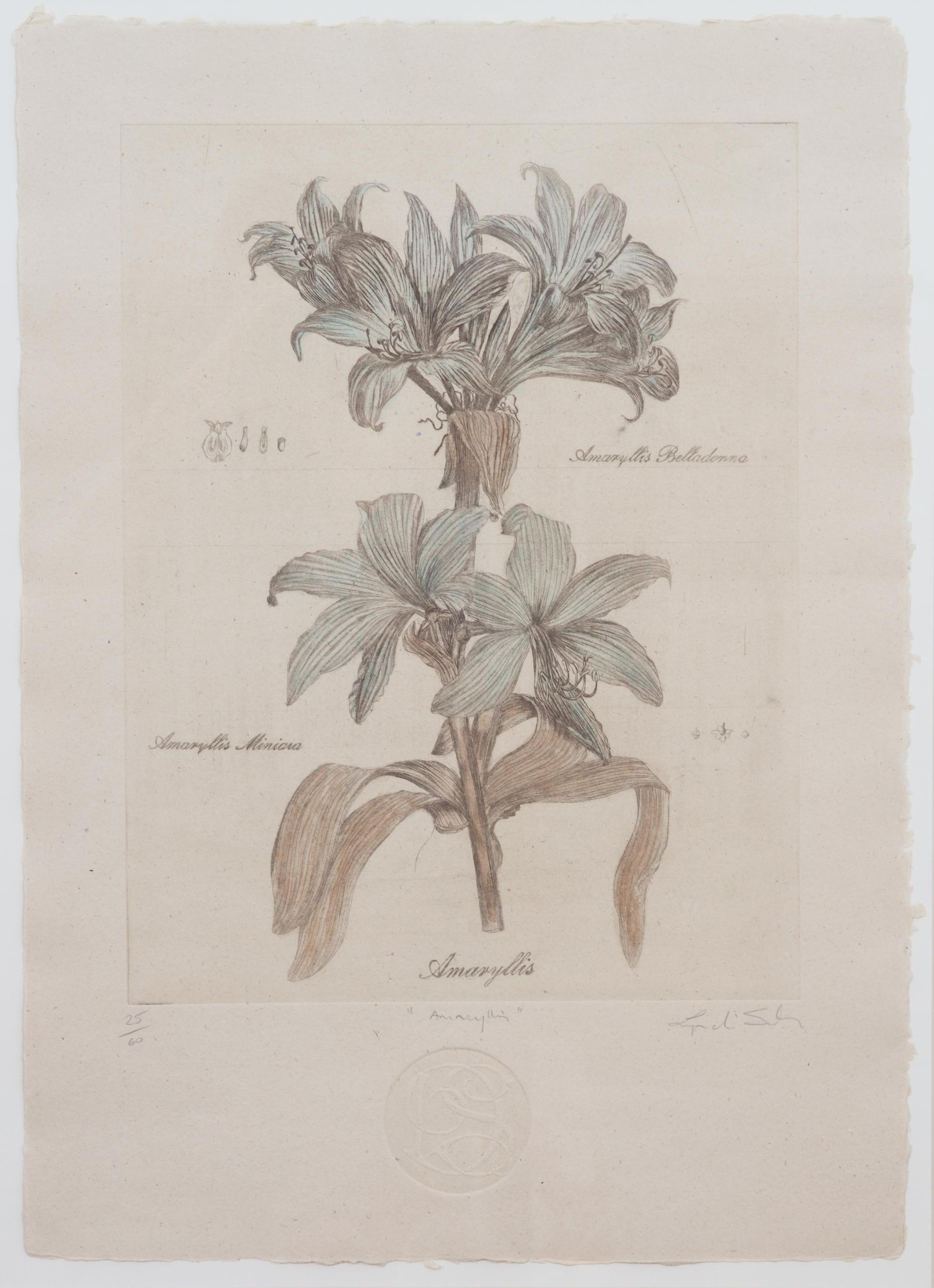 Three Botanical Engraving Reproductions Height 23 1/2 x width 16 1/2 inches. — 20TH CENTURY
