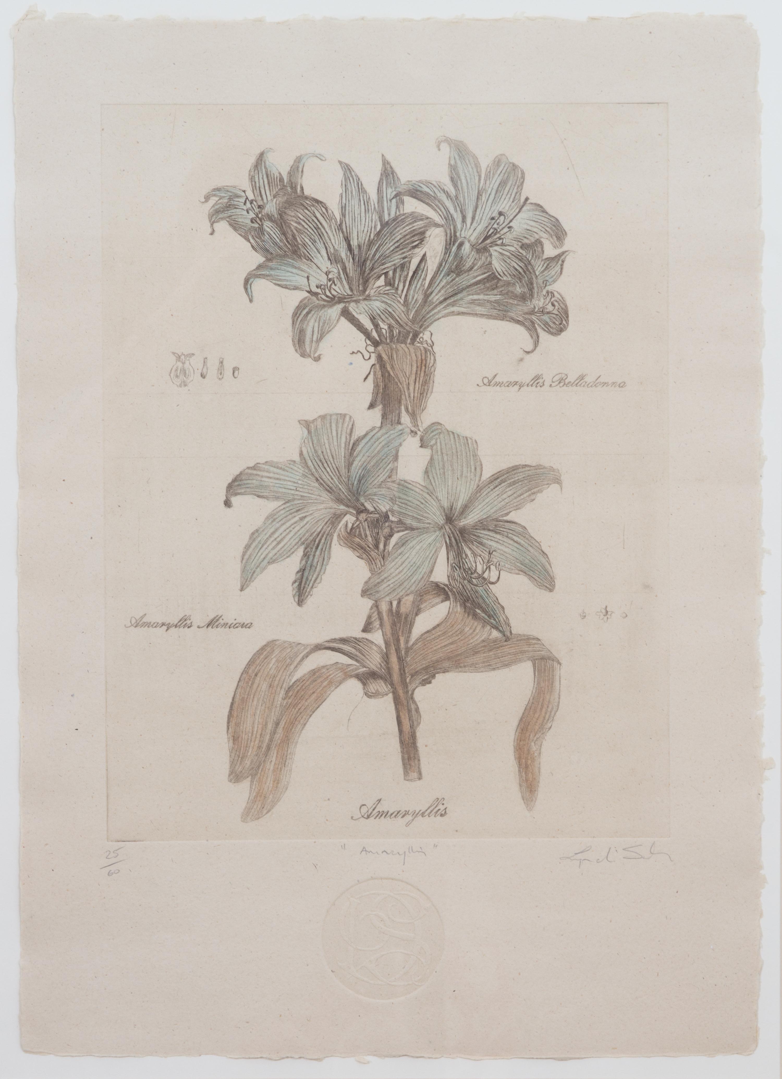 Three Botanical Engraving Reproductions Height 23 1/2 x width 16 1/2 inches. — 20TH CENTURY
