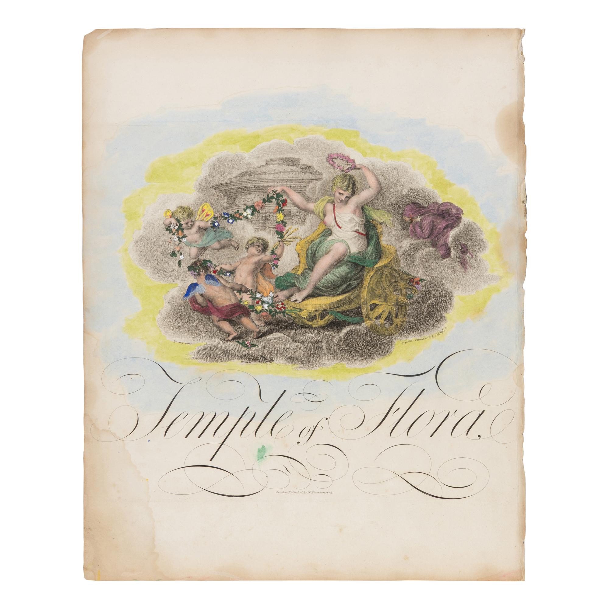 [Natural History] Thornton, Robert John. Group of 18 botanical plates from the 1812 quarto edition of "Temple of Flora"
