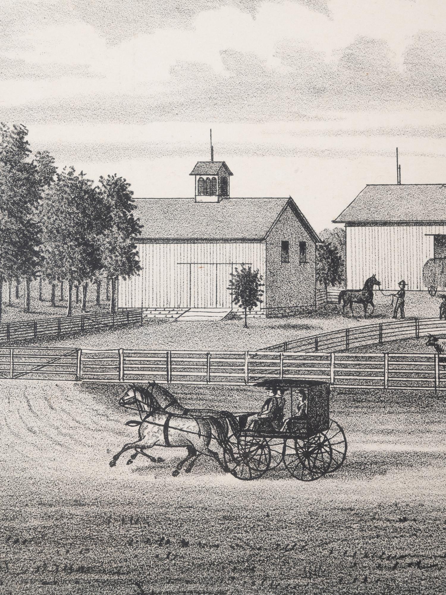 Printed City Views and Farm Scenes of Bloomingdale and Dupage County, Ill. N.p.: N.d. 23 x 21 In. Matted and framed.