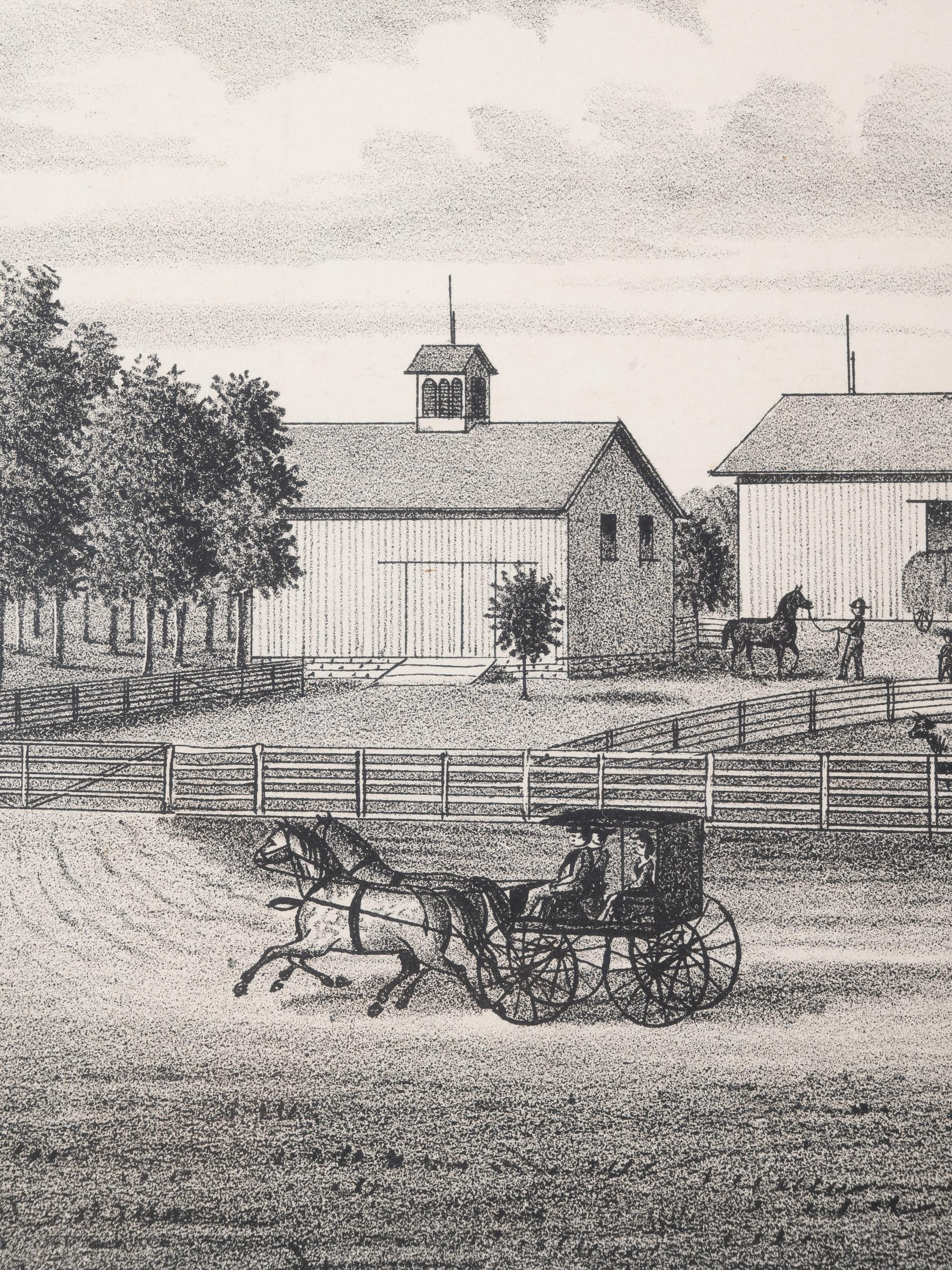 Printed City Views and Farm Scenes of Bloomingdale and Dupage County, Ill. N.p.: N.d. 23 x 21 In. Matted and framed.