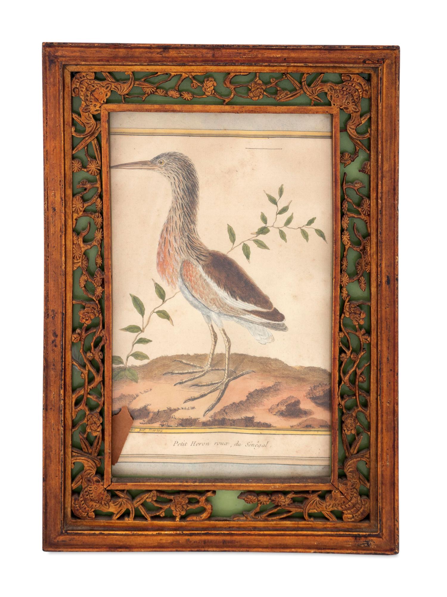 Twelve French Hand-Colored Bird Engravings — Designed and Engraved by Francois Nicolas Martinet (1731-1804); From Histoire Naturelle des Oiseaux by George-Louis Marie Leclere, Comte de Buffon; Printed at the Imprimerie Royale, 1770-1786