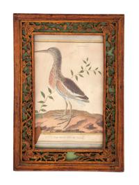 Twelve French Hand-Colored Bird Engravings — Designed and Engraved by Francois Nicolas Martinet (1731-1804); From Histoire Naturelle des Oiseaux by George-Louis Marie Leclere, Comte de Buffon; Printed at the Imprimerie Royale, 1770-1786