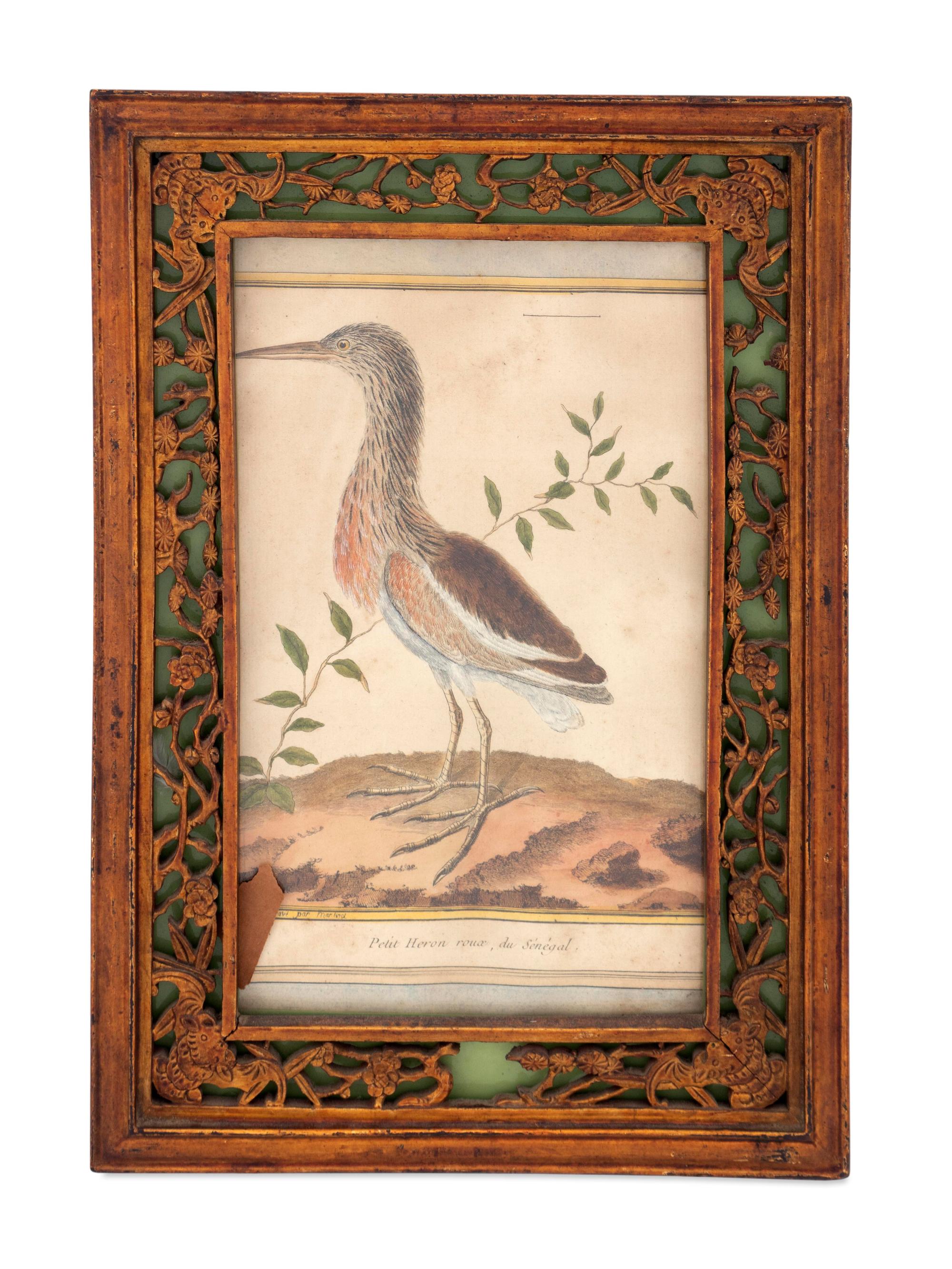 Twelve French Hand-Colored Bird Engravings — Designed and Engraved by Francois Nicolas Martinet (1731-1804); From Histoire Naturelle des Oiseaux by George-Louis Marie Leclere, Comte de Buffon; Printed at the Imprimerie Royale, 1770-1786