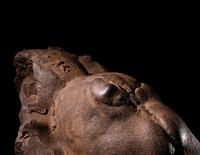 An African Stone Shrine