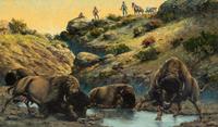 Some of the Last Died at Waterholes