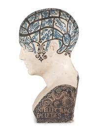 A Ceramic Fowler's Improved Phrenological Head