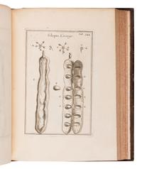 TOURNEFORT, Joseph Pitton de (1656-1708). Institutiones rei herbariae . Paris: Typographia Regia, 1700.