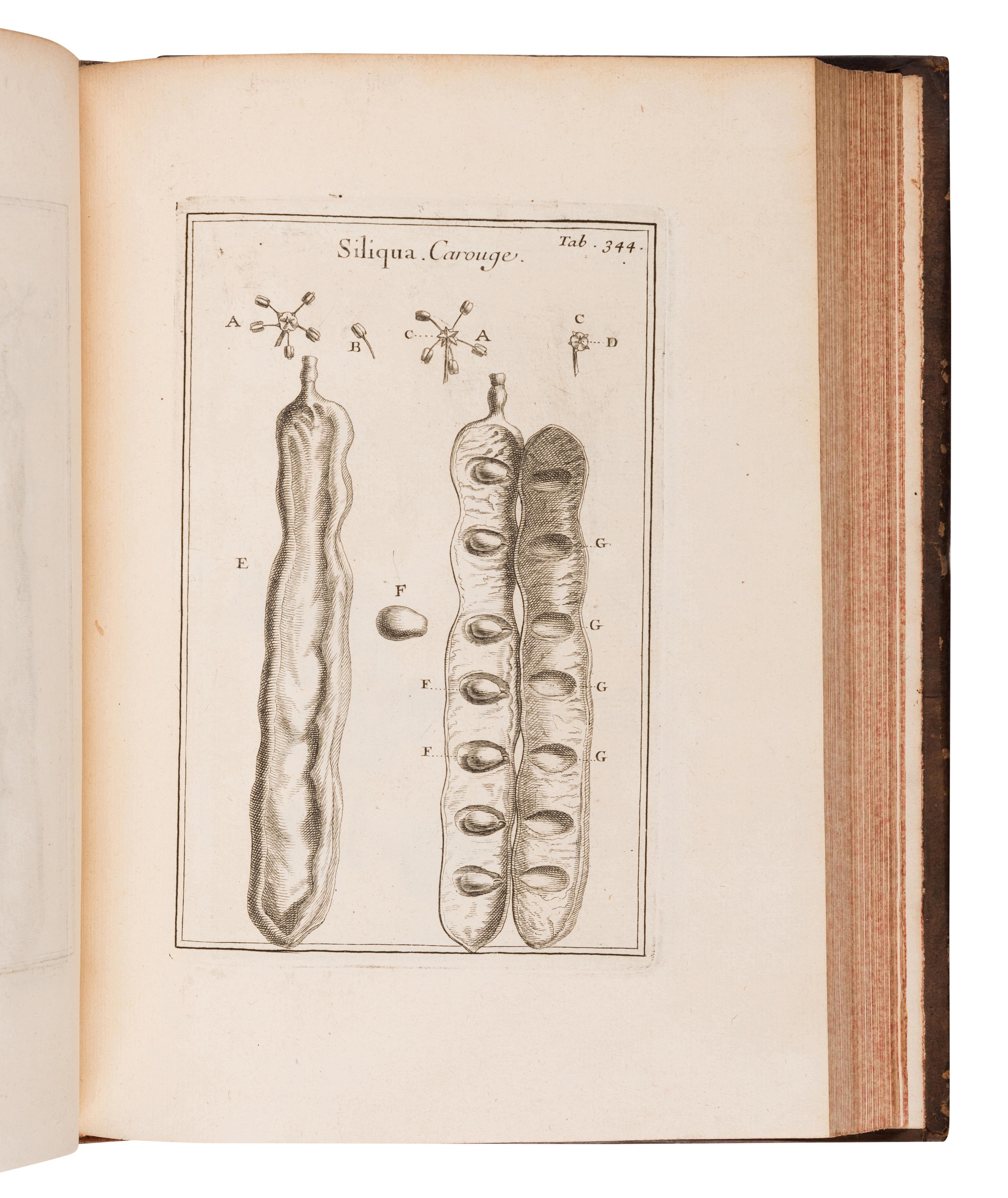 TOURNEFORT, Joseph Pitton de (1656-1708). Institutiones rei herbariae . Paris: Typographia Regia, 1700.