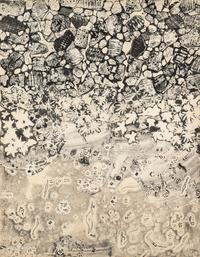 Pied du Mur au sol jonché , July 1955