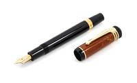 A Montblanc Friedrich Schiller Limited Edition Fountain Pen