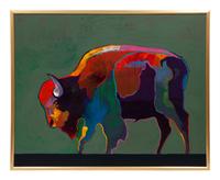 Buffalo Medicine