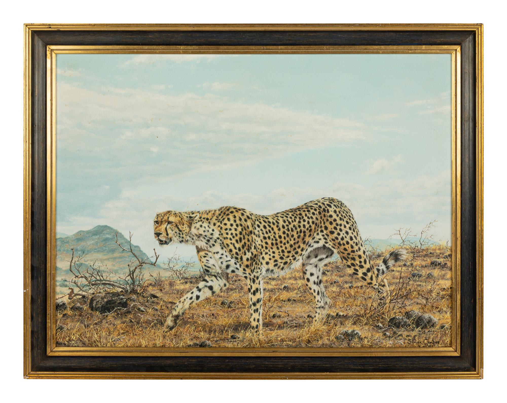 Cheetah