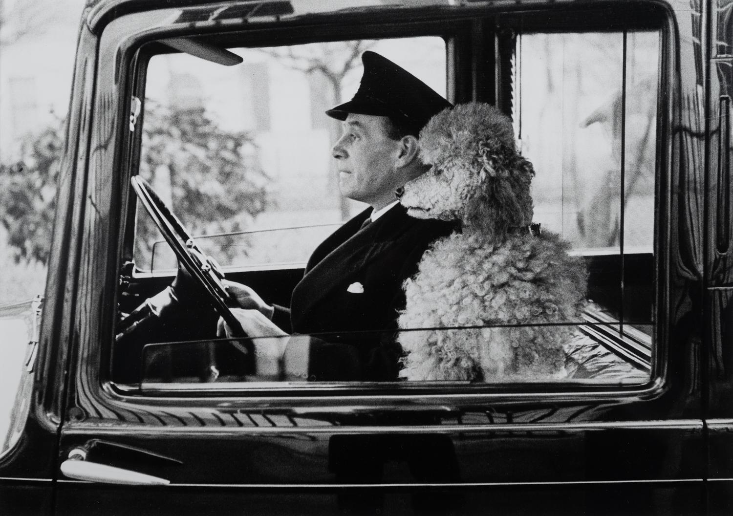 La Dolce Vita, Knightsbridge, London
