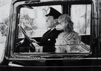 La Dolce Vita, Knightsbridge, London
