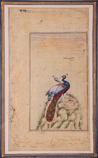 Seven Islamic Paintings