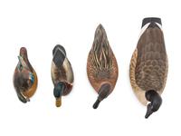 A Group of Carved and Polychromed Painted Artist Duck Decoys
