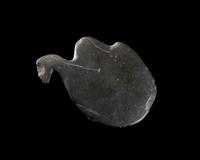 An Egyptian Greywacke Cosmetic Palette in the Form of a Bird