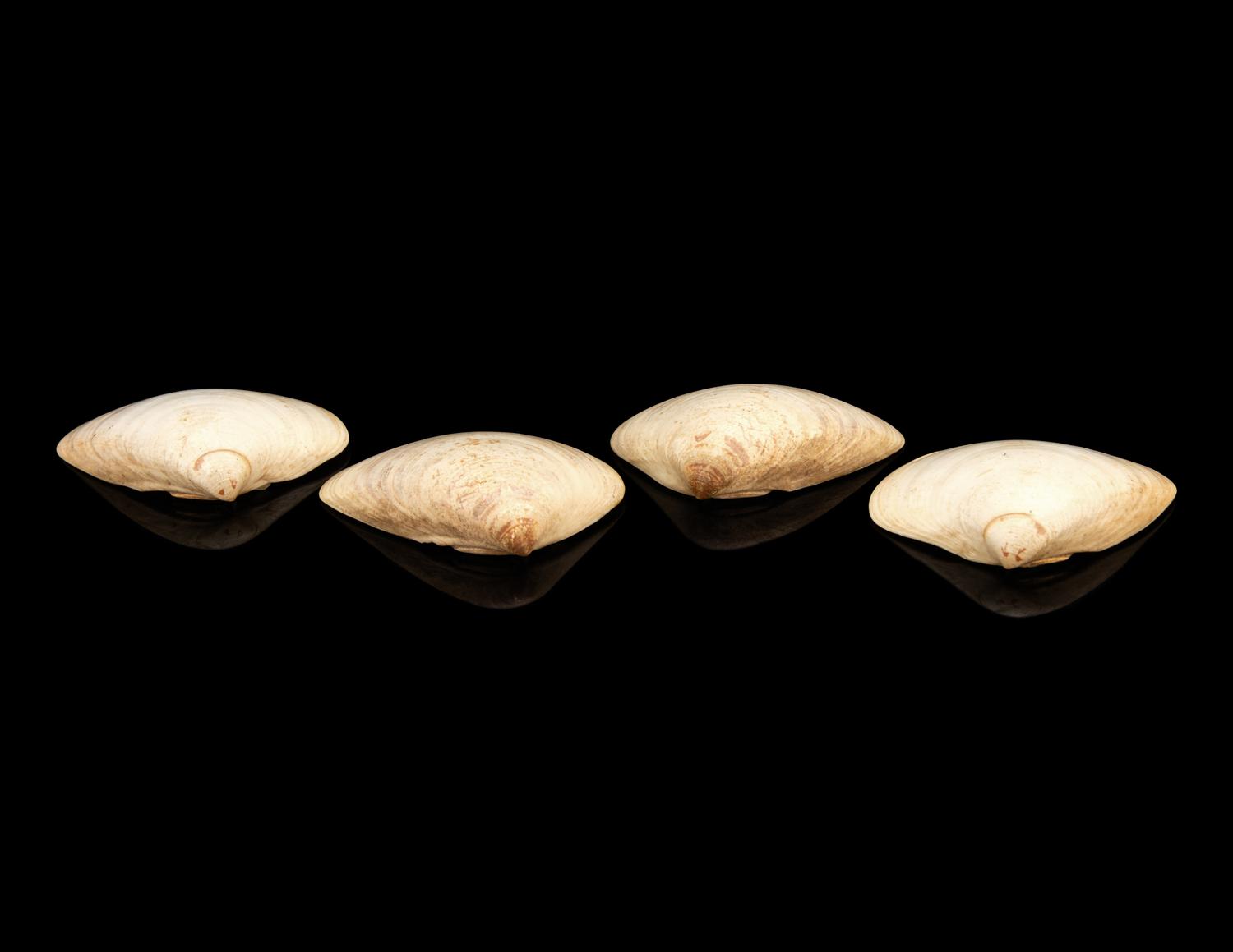 Two Pairs of Japanese Satsuma Shell-Form Games