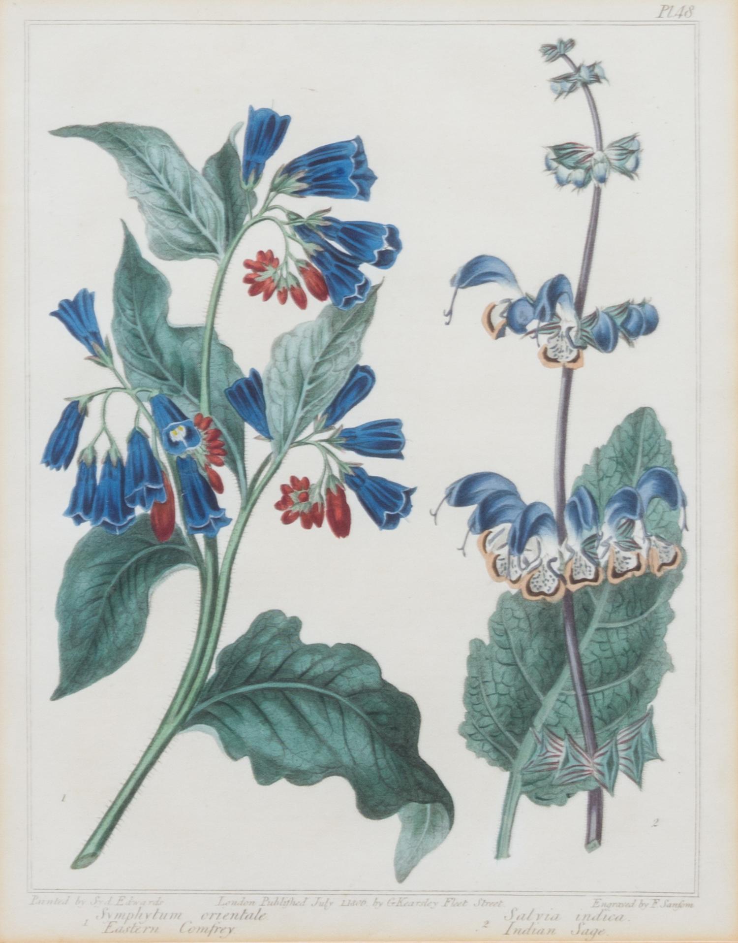 A Group of Six Botanical Color Prints 9 1/2 x 7 3/4 inches. — 20TH CENTURY