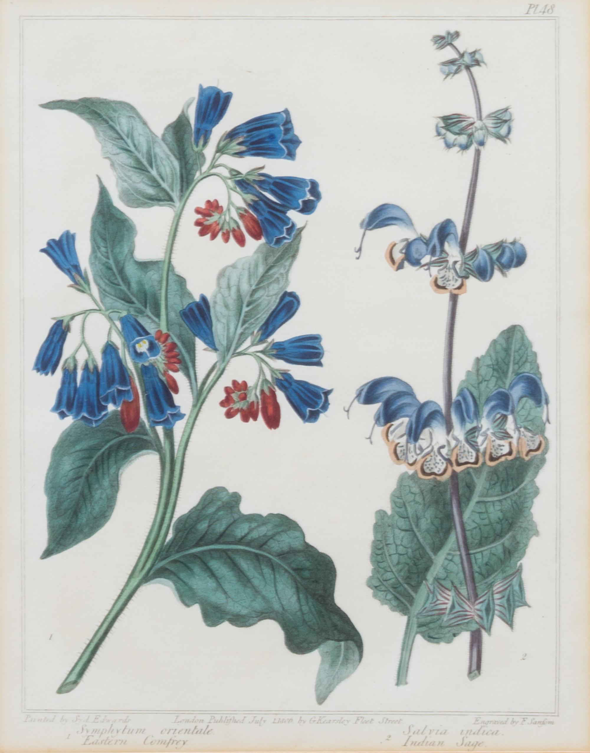 A Group of Six Botanical Color Prints 9 1/2 x 7 3/4 inches. — 20TH CENTURY