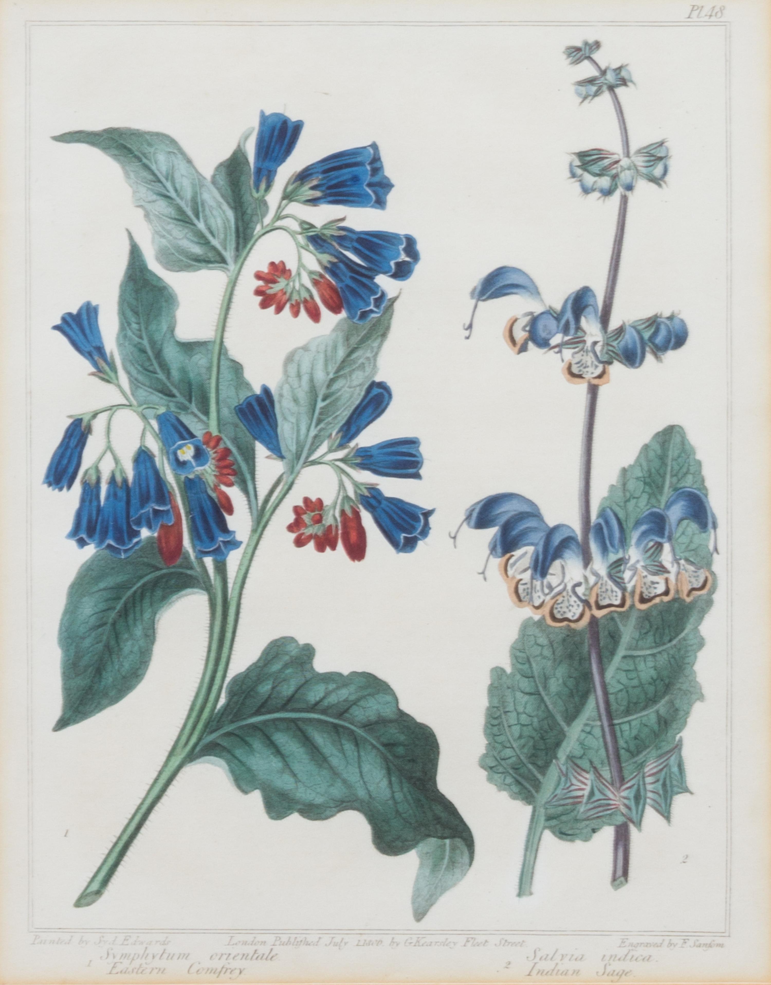 A Group of Six Botanical Color Prints 9 1/2 x 7 3/4 inches. — 20TH CENTURY