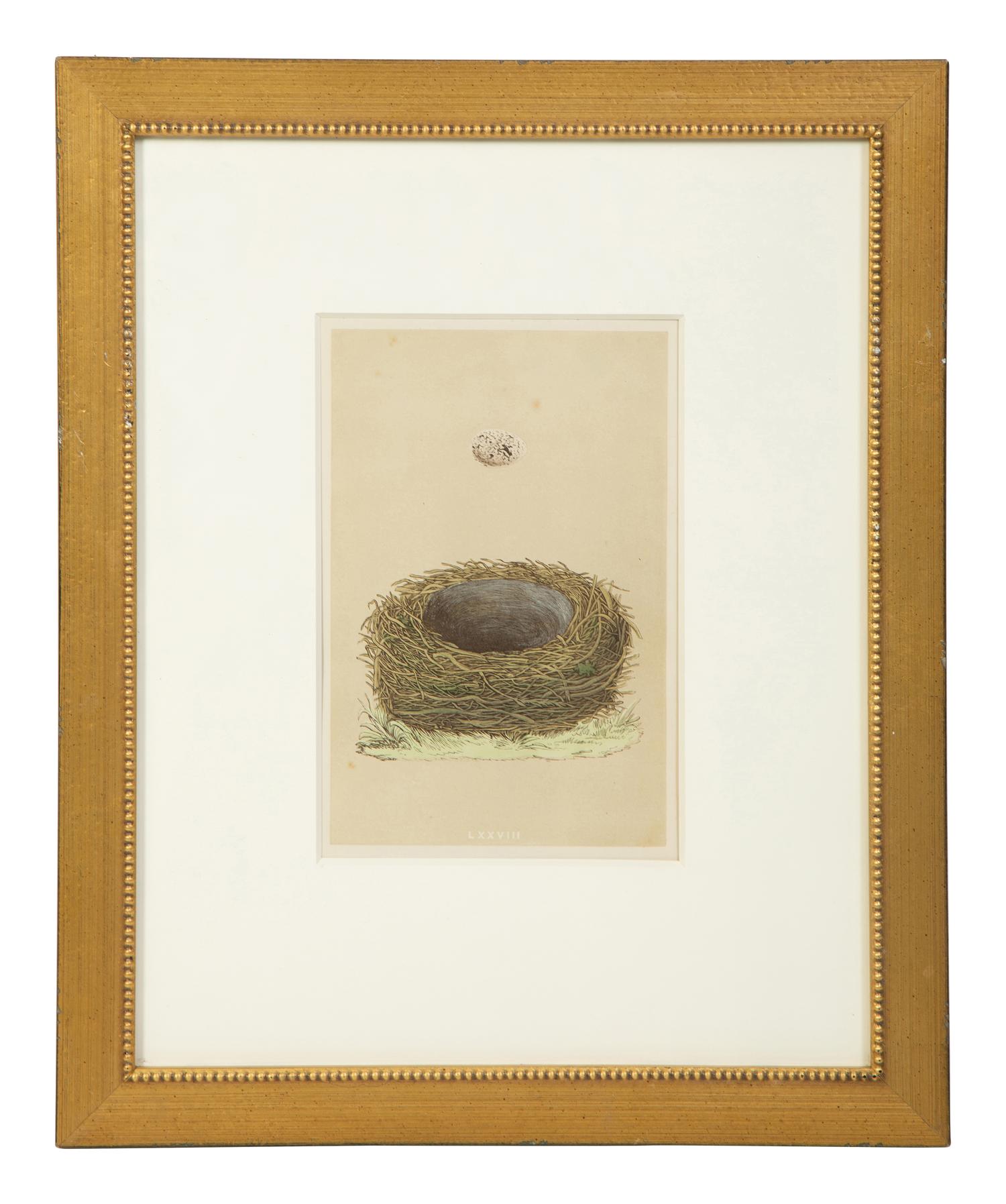 A Set of Six Prints from A Natural History of the Nests and Eggs of British Birds , by Rev. Francis O. Morris, B.A. (Irish, 1810-1893)