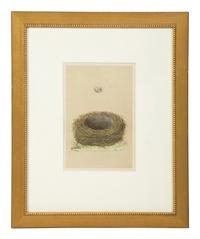 A Set of Six Prints from A Natural History of the Nests and Eggs of British Birds , by Rev. Francis O. Morris, B.A. (Irish, 1810-1893)