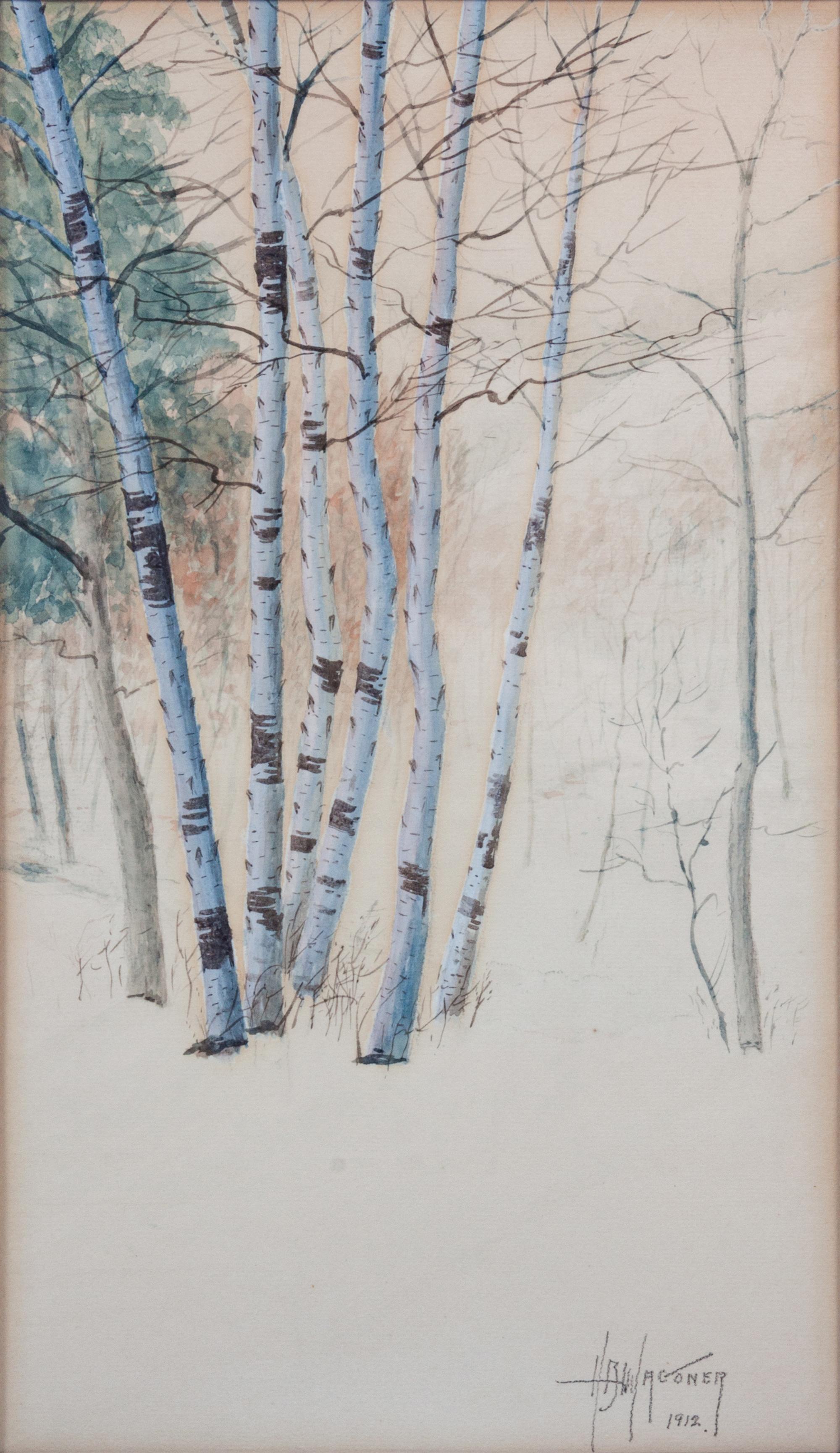 Aspens in Winter
